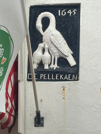 Pelican | Deck